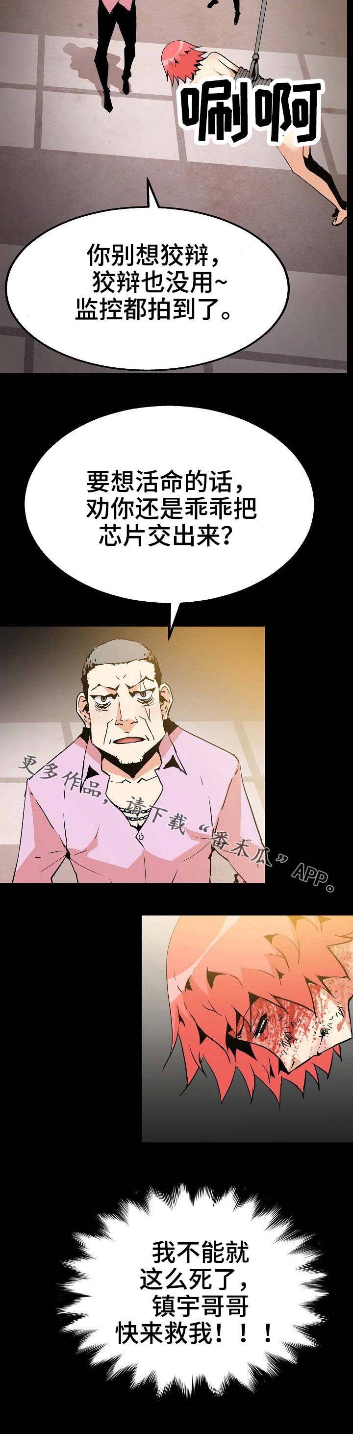 第53章：开始行动10