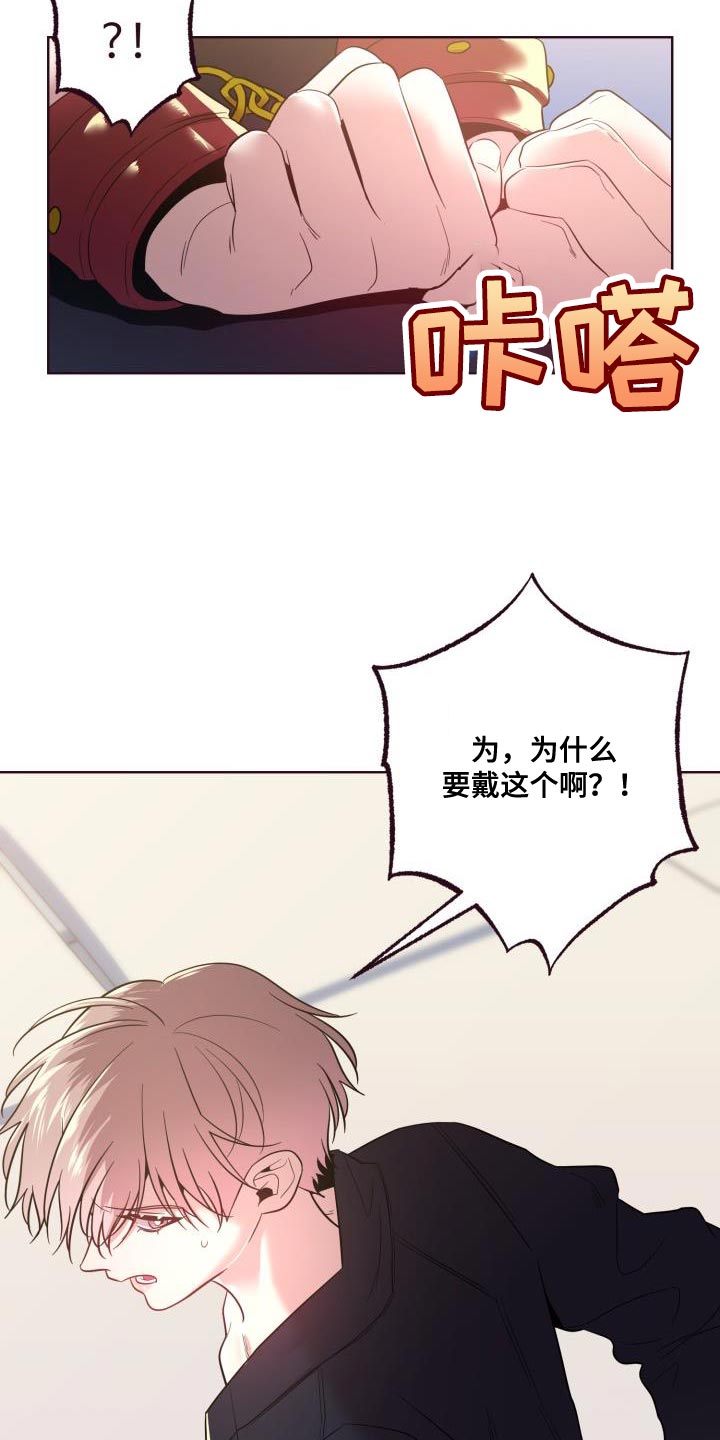 第49章：我答应9