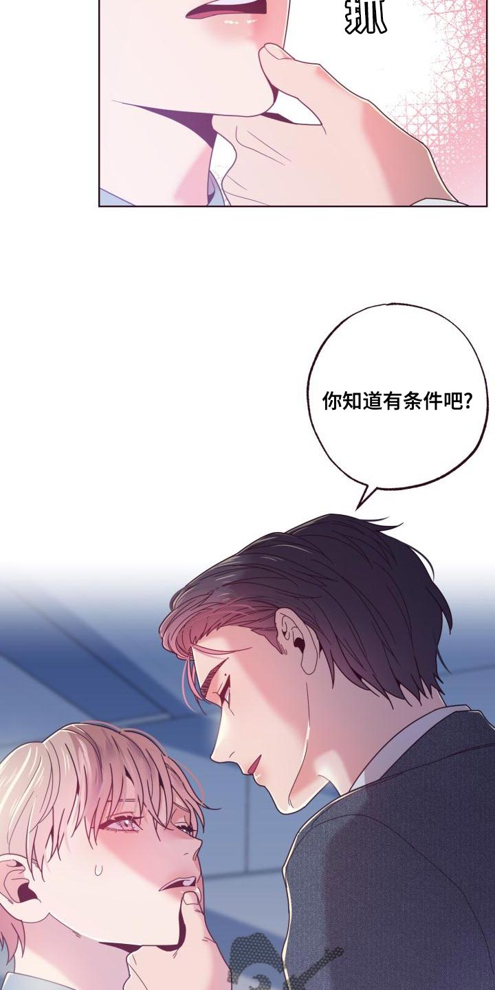 第23章：条件9