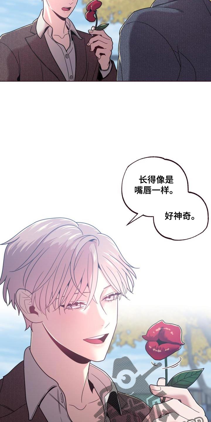 第35章：鲜花22