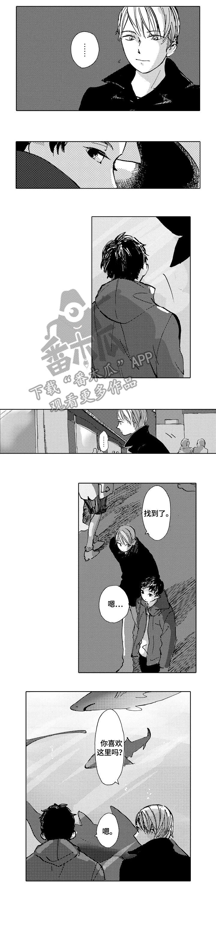 第15章：安排0