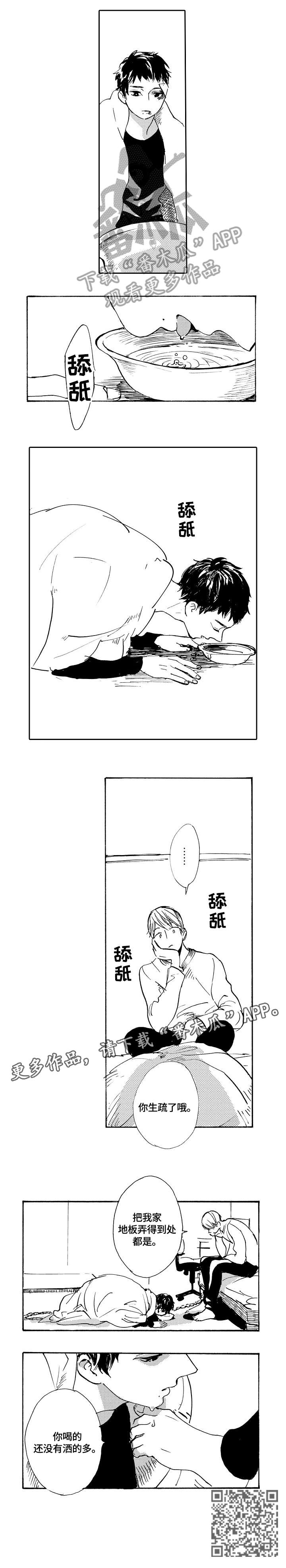 第19章：摸1