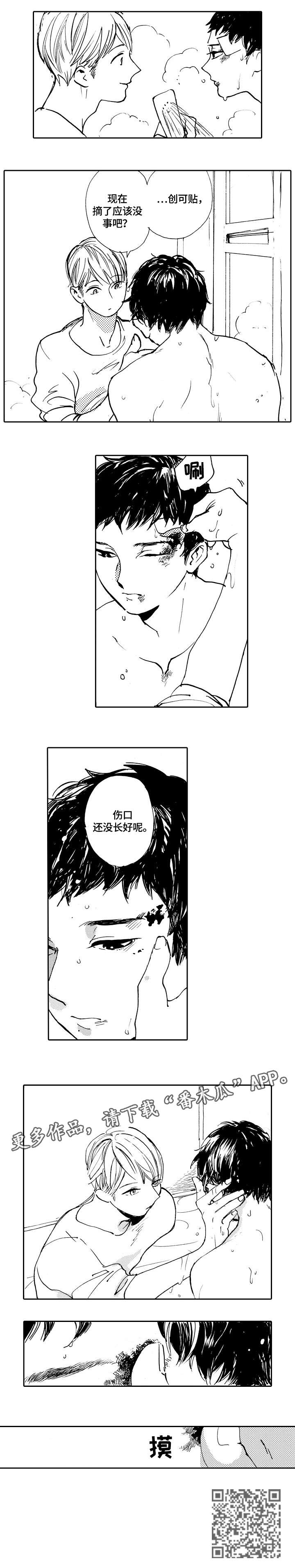第19章：摸4