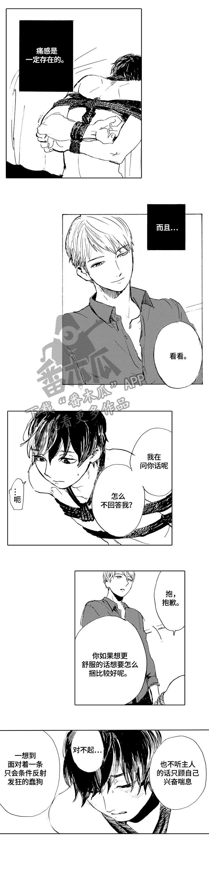 第2章：捆绑4
