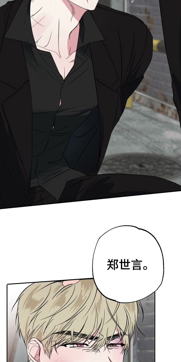 第17章：幕后黑手5
