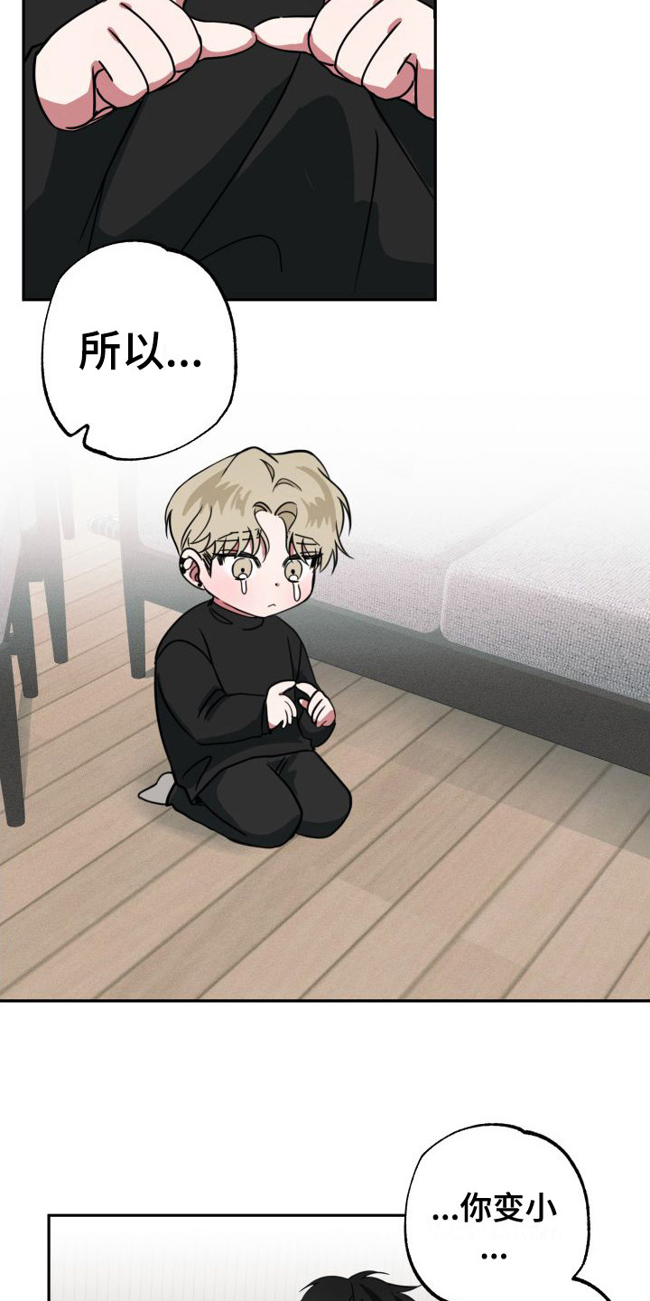 第20章：解释8