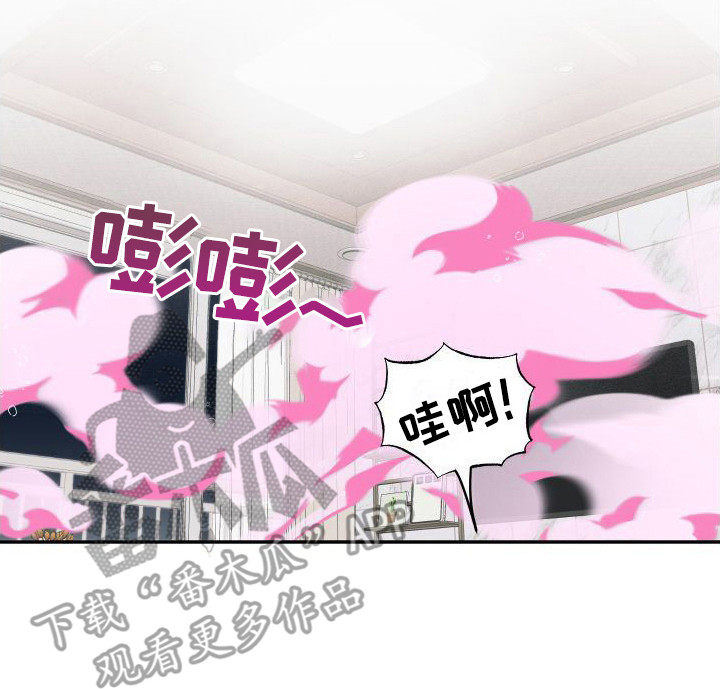 第20章：解释16