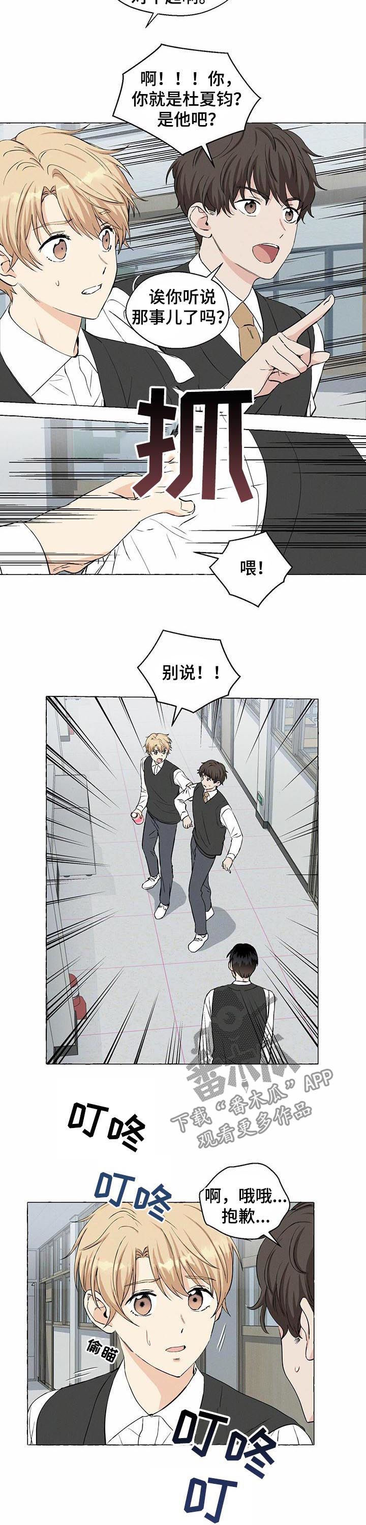 第33章：传闻8