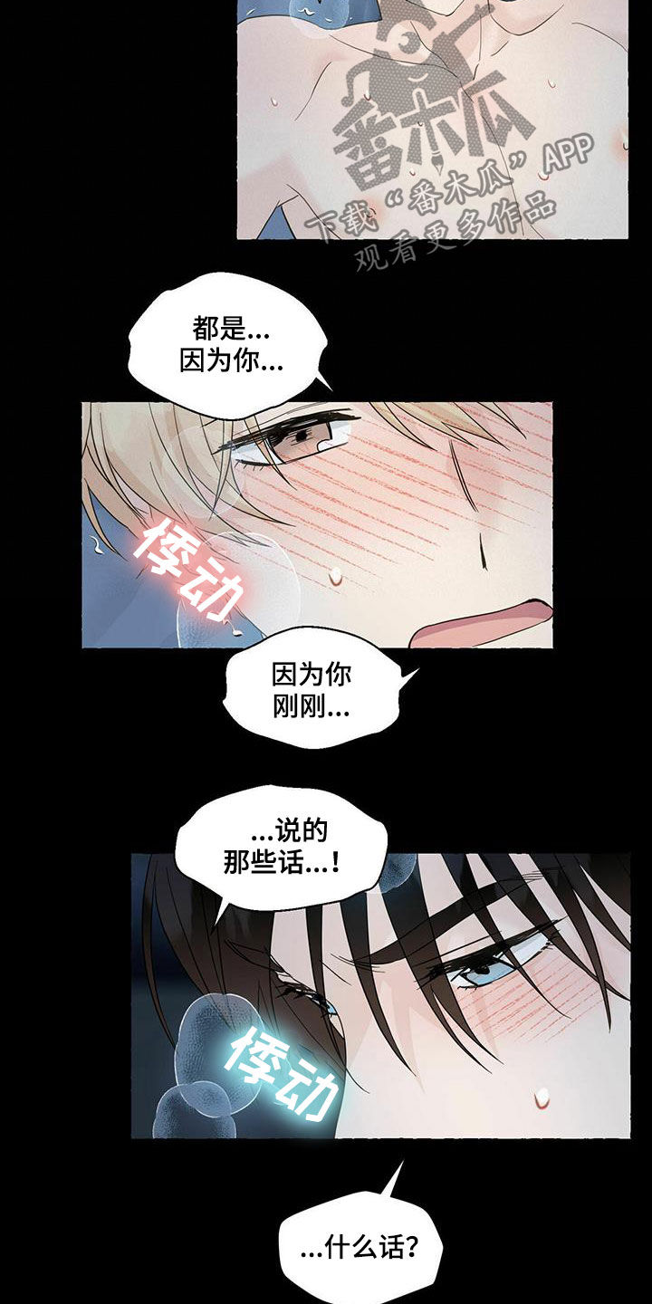 第71章：解释21