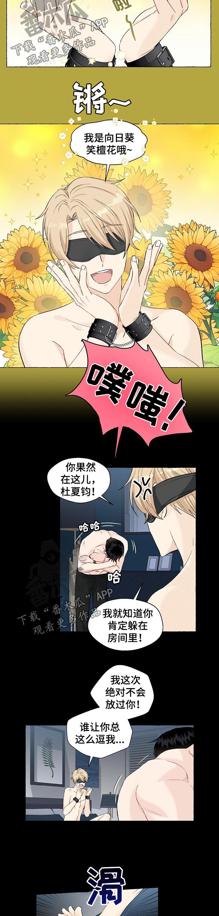 第43章：捉迷藏6