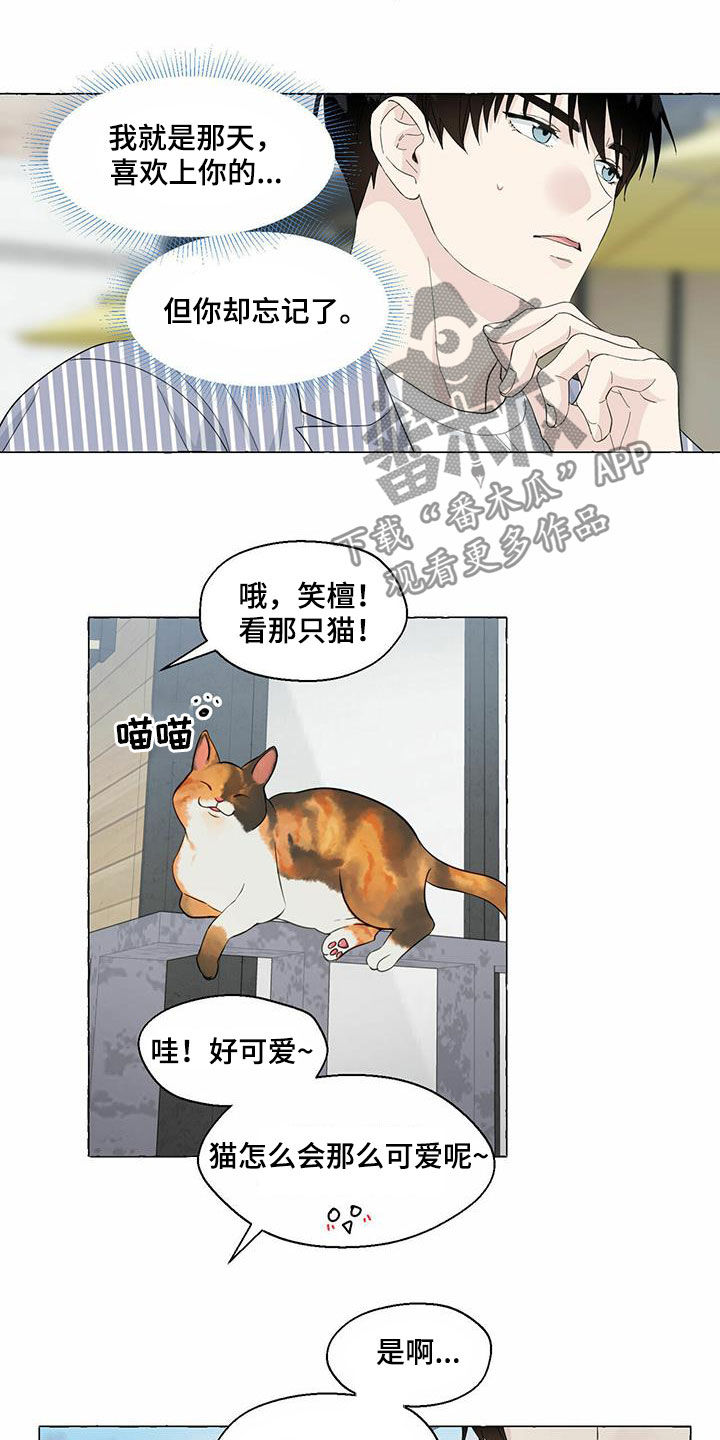第81章：耍赖15