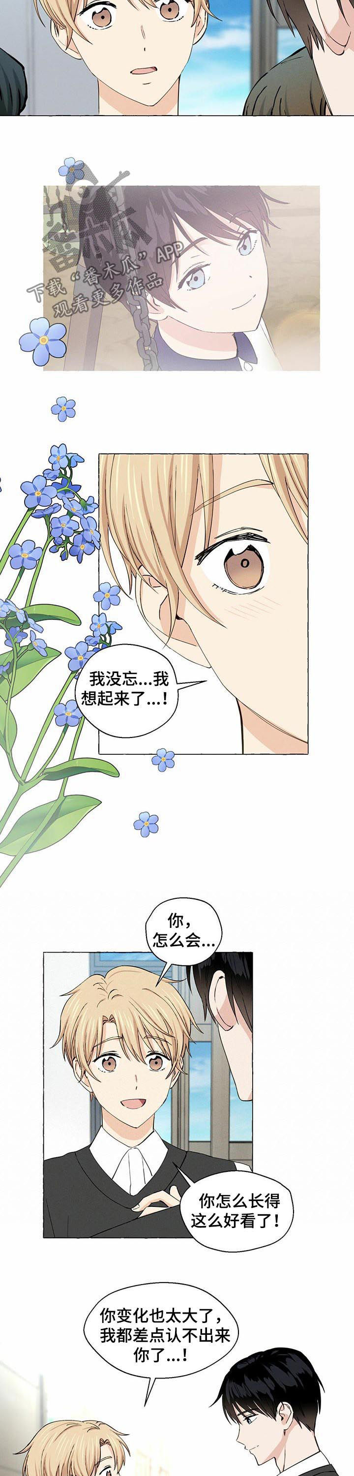 第28章：重逢11