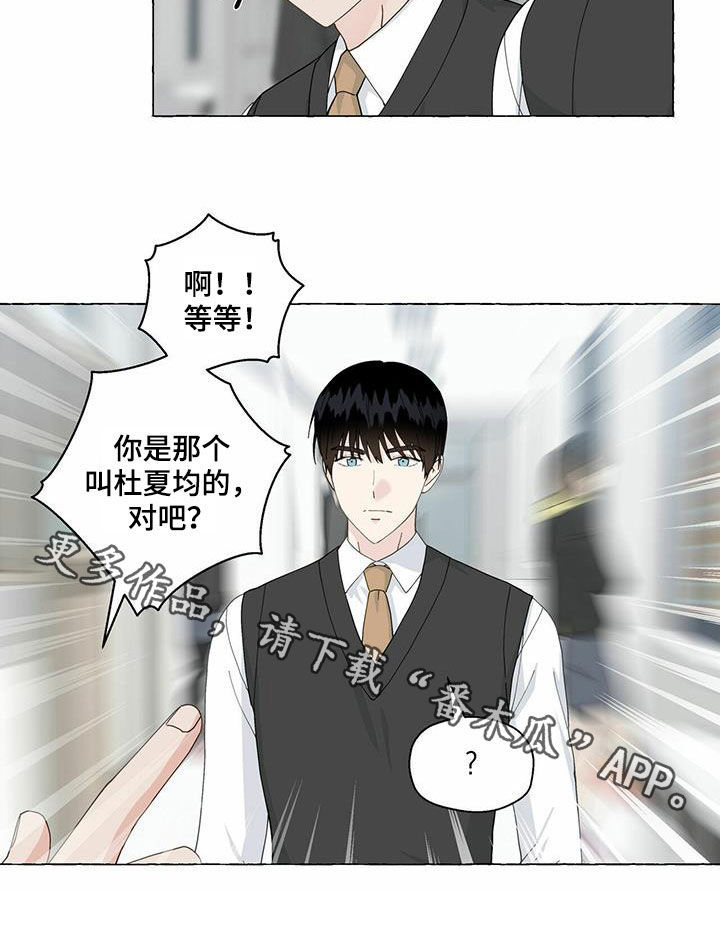 第98章：躲避19
