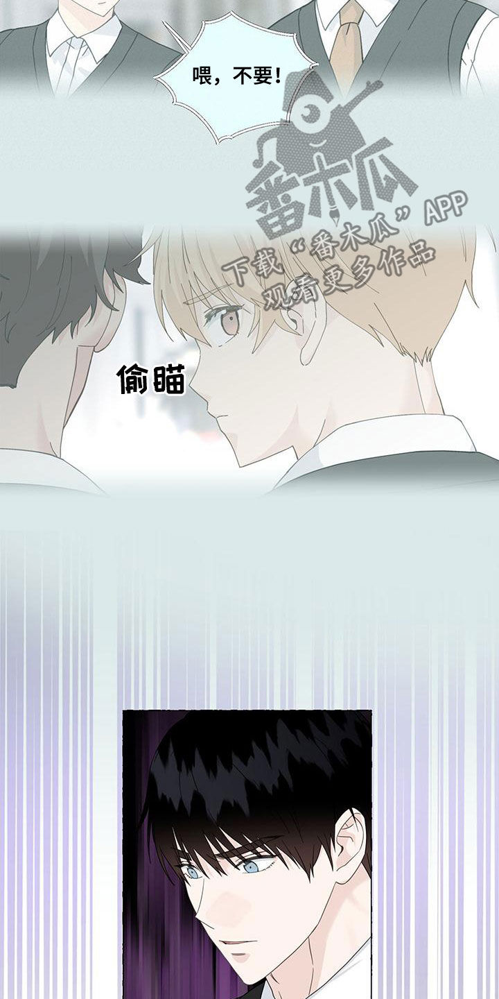 第113章：传闻19
