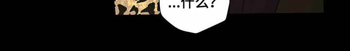 第77章：视频9