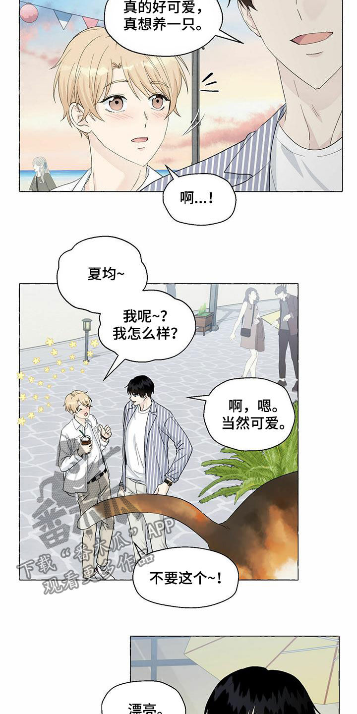 第81章：耍赖16
