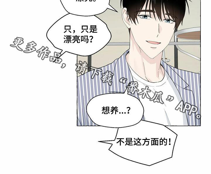 第81章：耍赖17