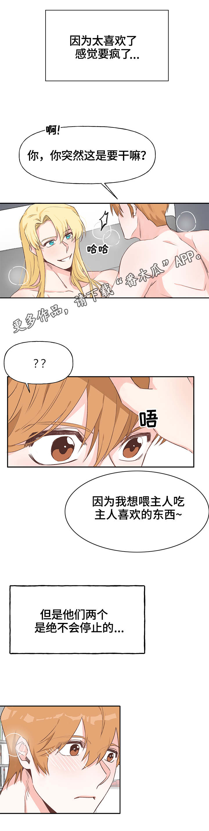 第16章：征服（完结）8