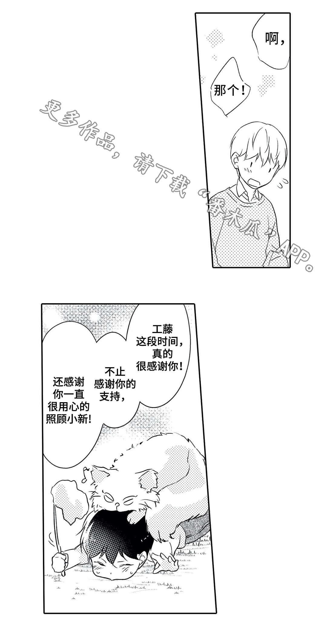 第19章：误解11