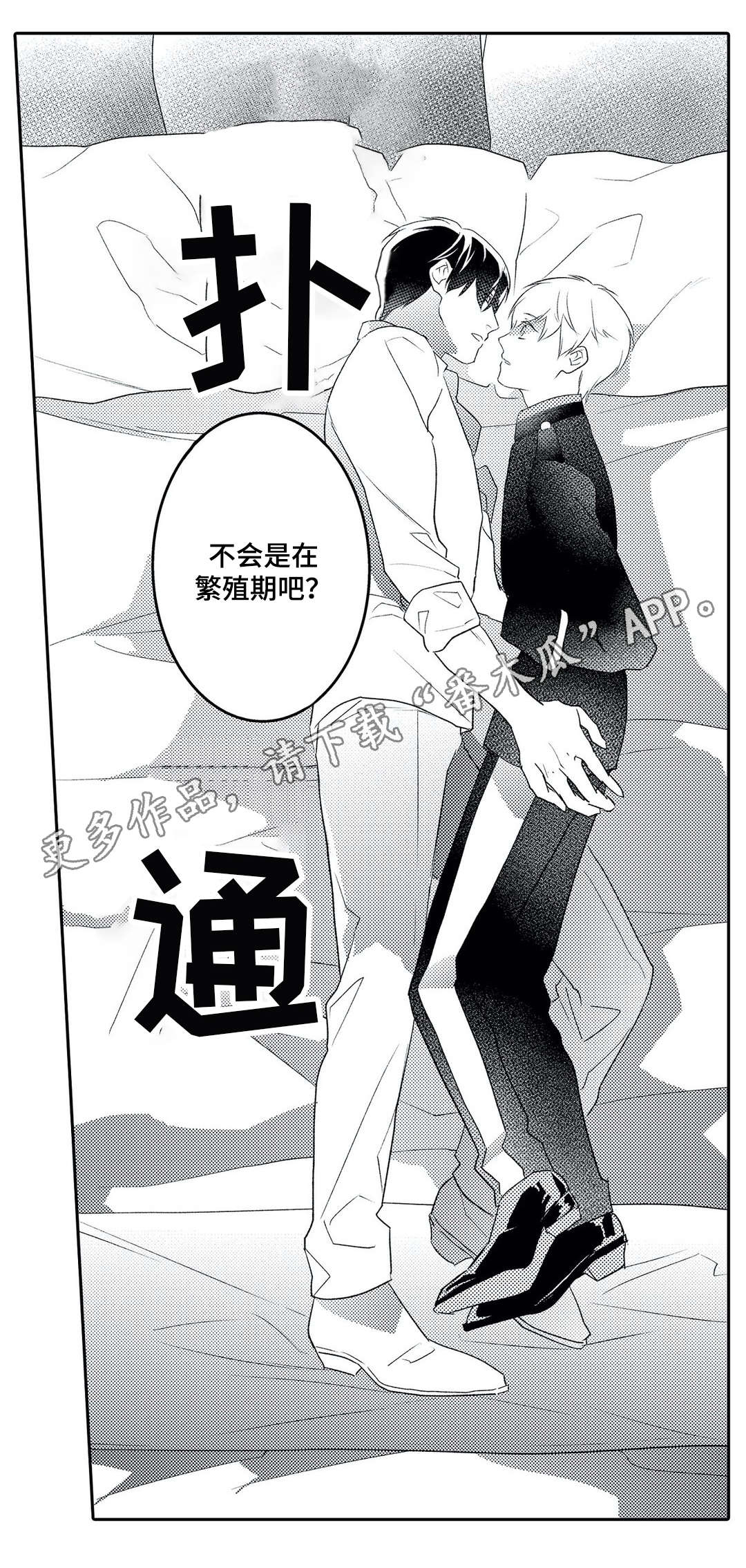 第17章：诱人15