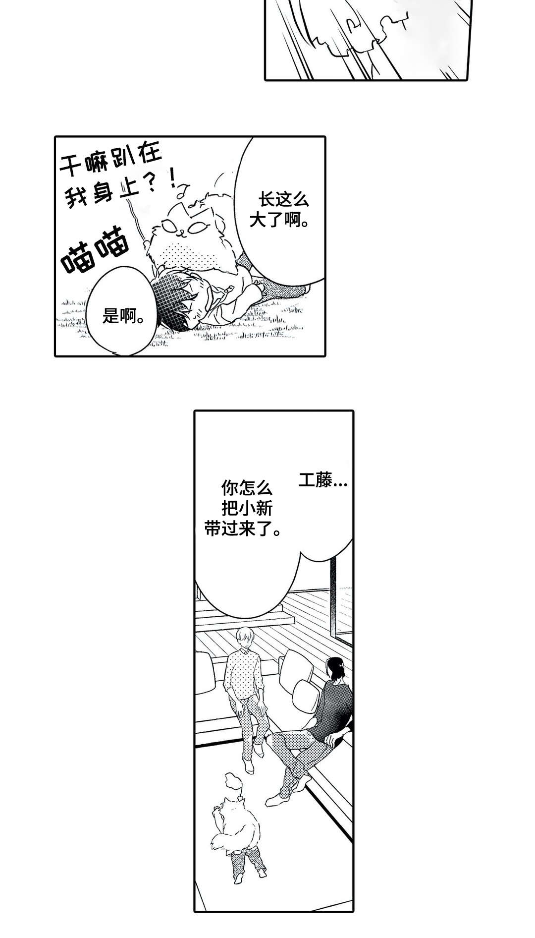 第19章：误解2