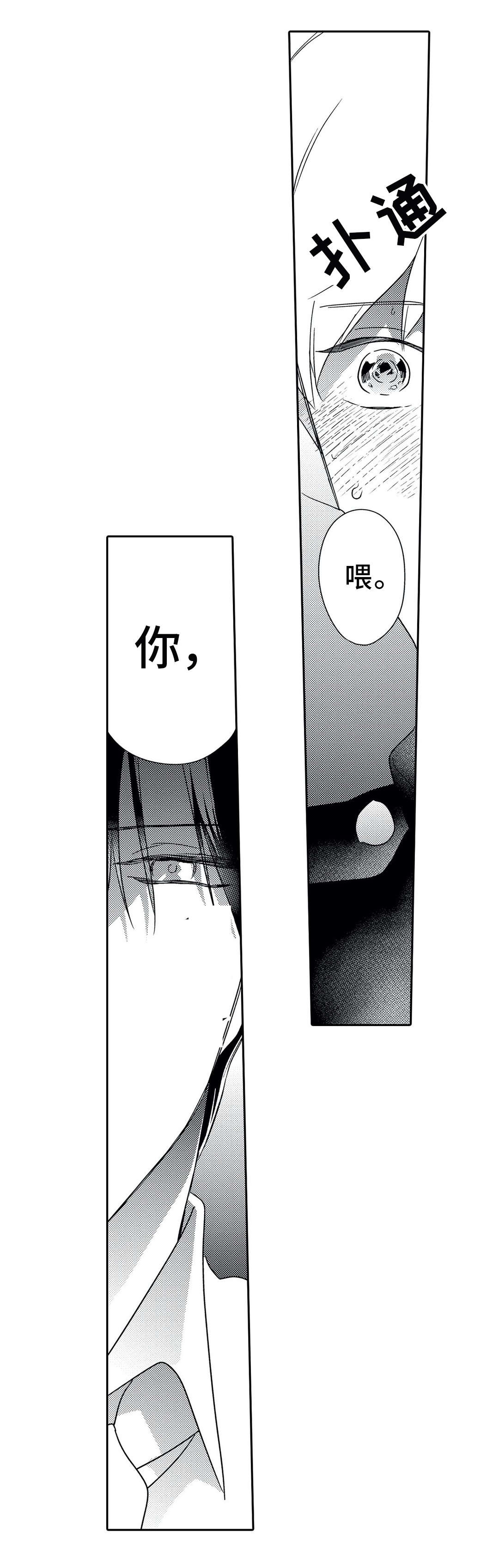 第17章：诱人14