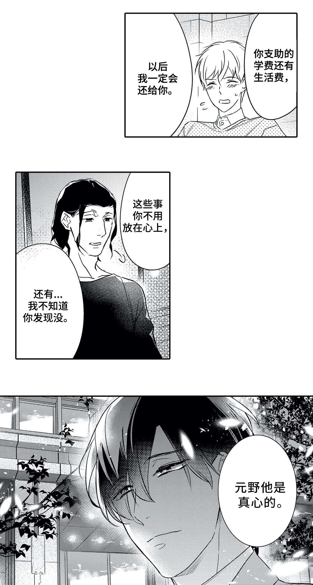 第19章：误解12