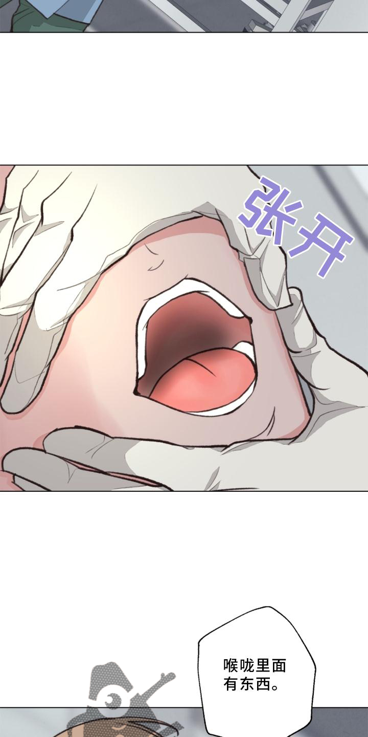 第125章：【番外】解刨24