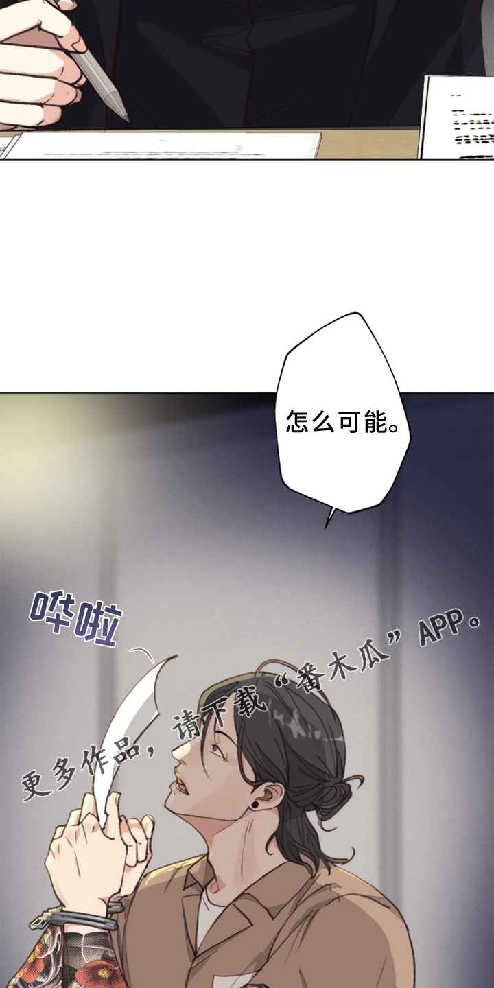 第114章：【番外】挑衅13