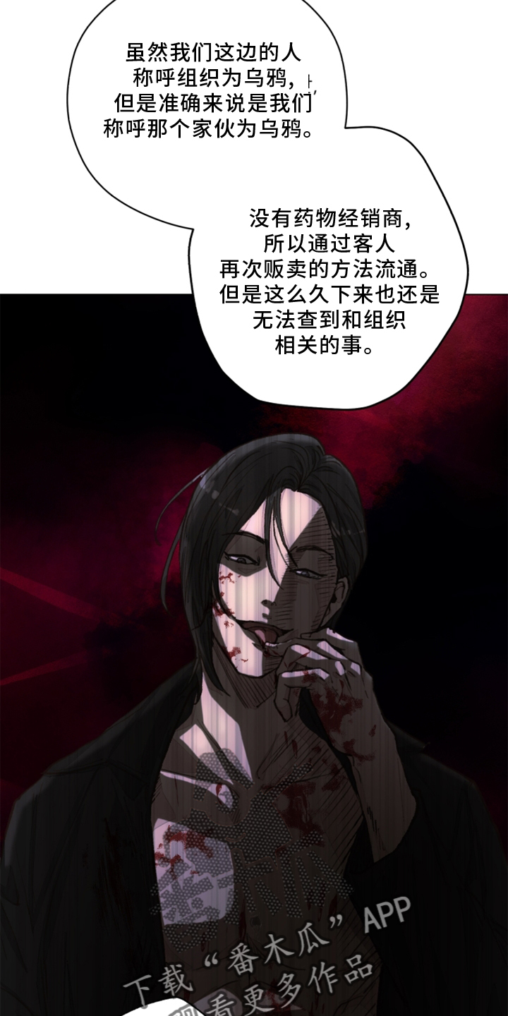 第108章：【番外】乌鸦10