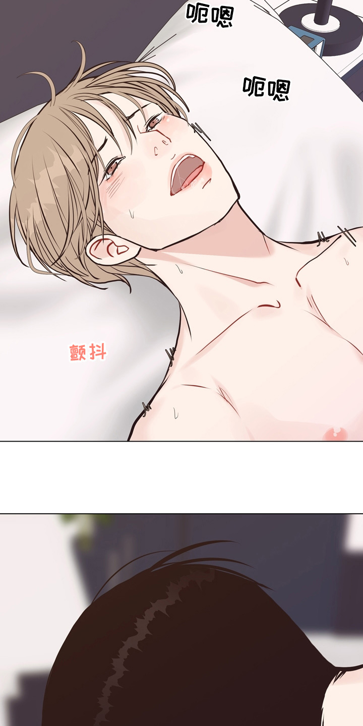 第107章：【第二季完结】一起面对19