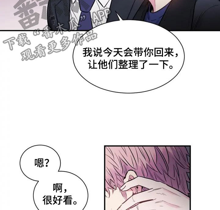 第54章：欺骗22