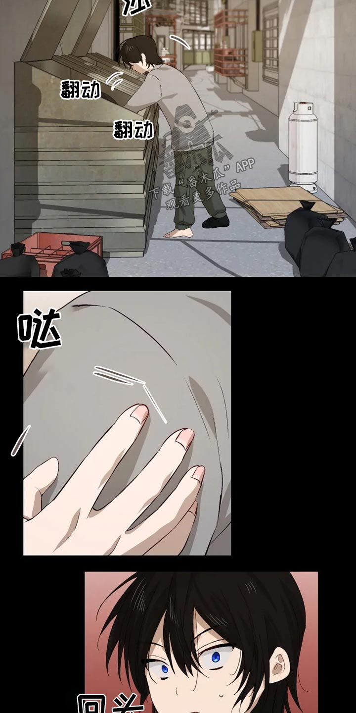 第50章：糟了2