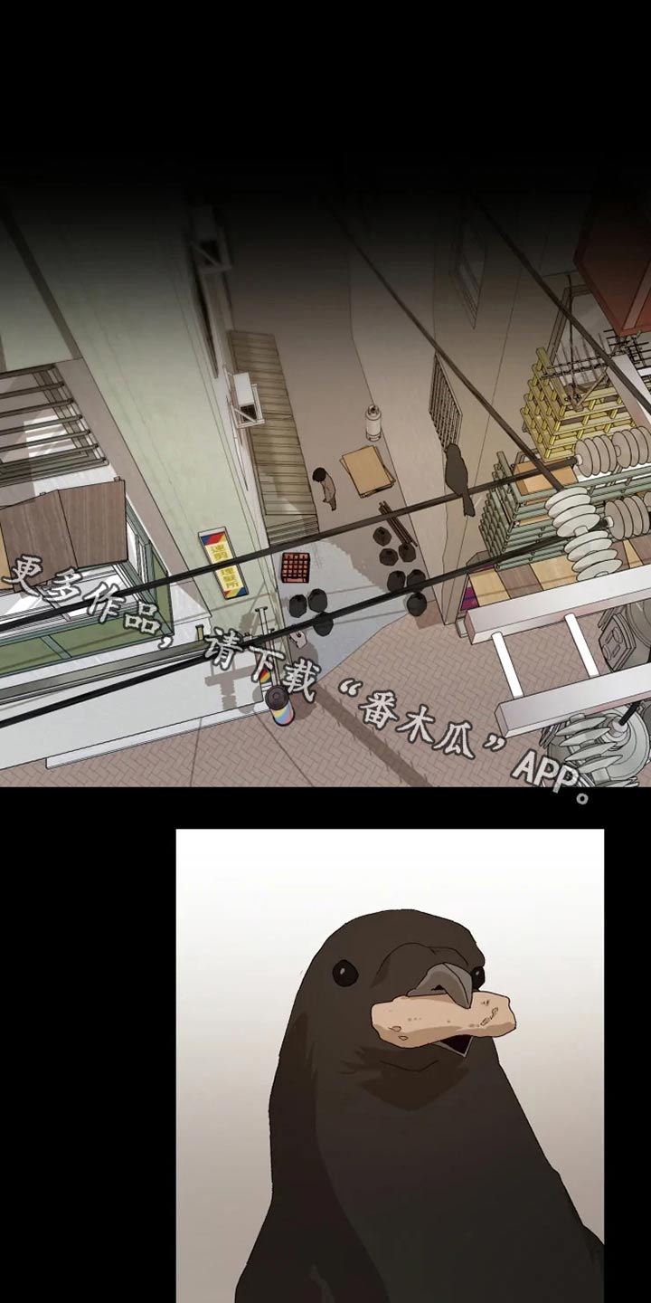第50章：糟了0