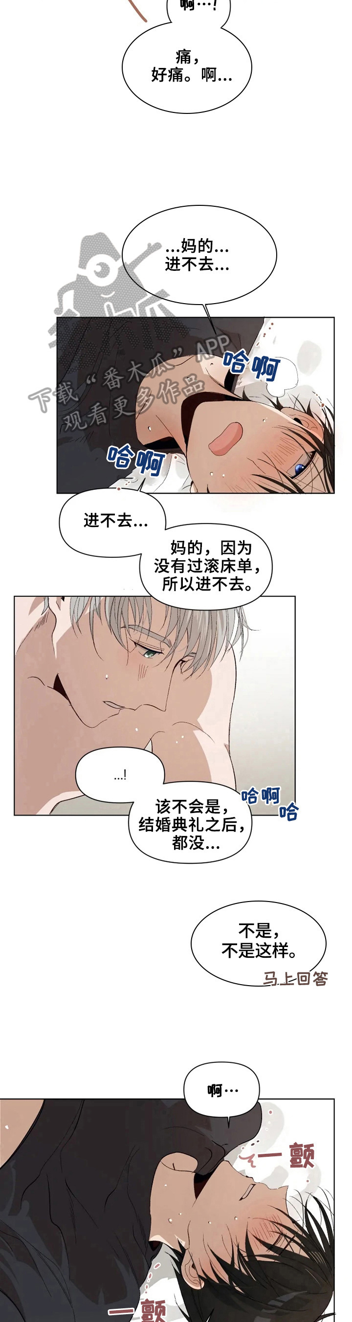 第22章：再试试5