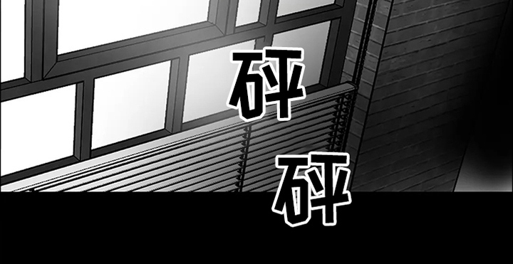 第65章：【第二季】撞死的鸟14