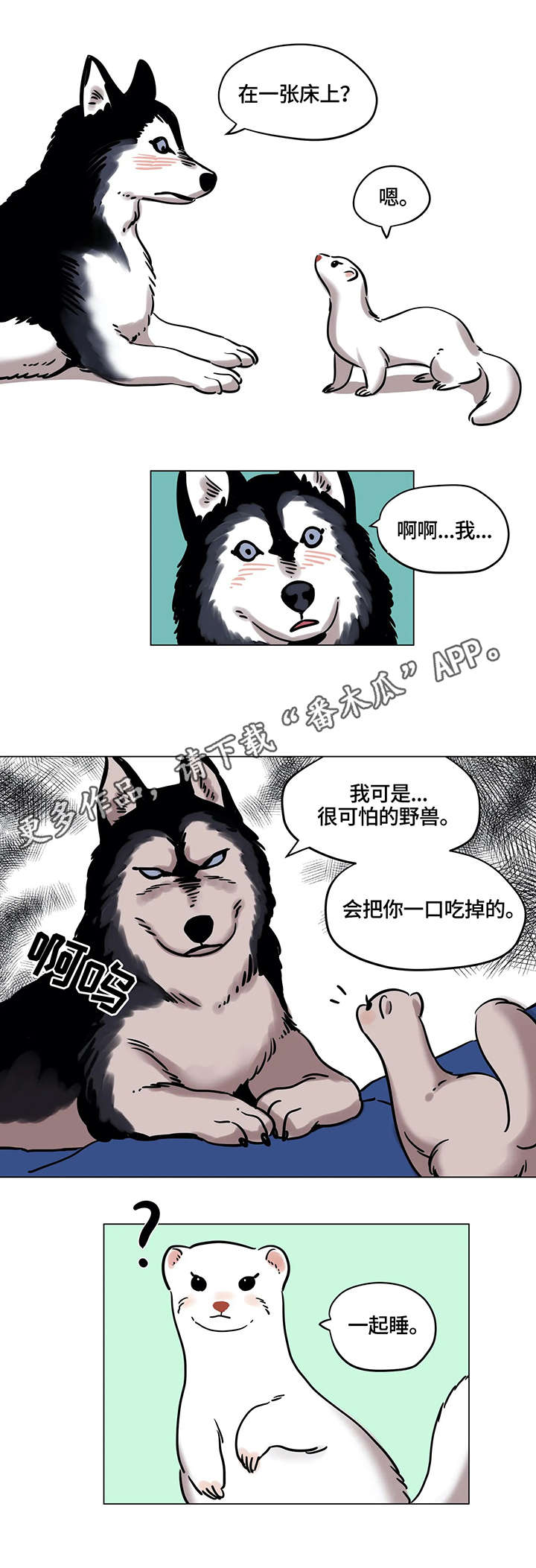 第18章：厨艺6