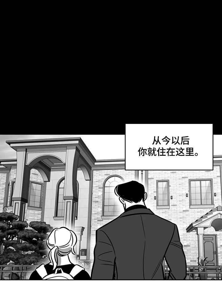 第65章：【第二季】撞死的鸟8