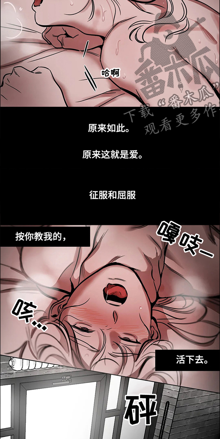 第65章：【第二季】撞死的鸟13