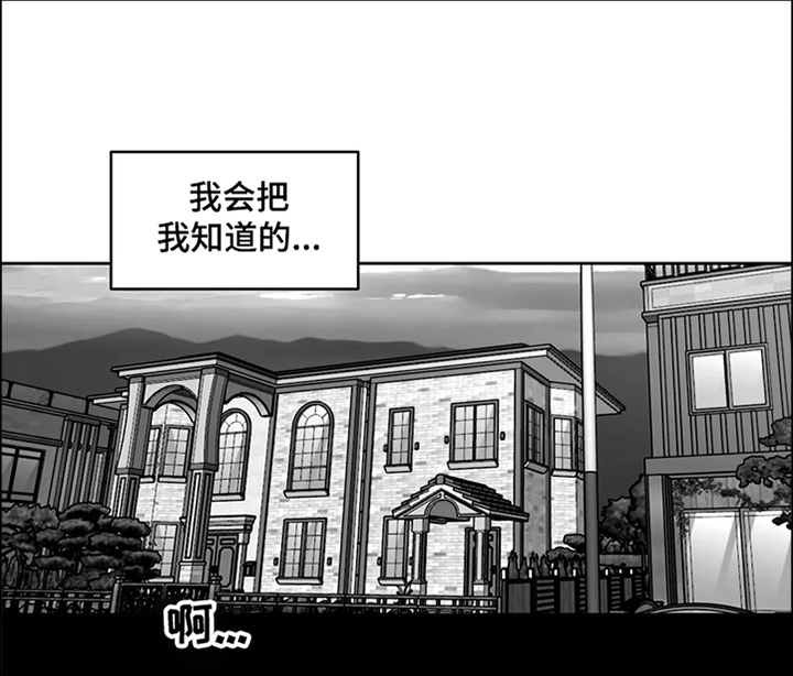第65章：【第二季】撞死的鸟11