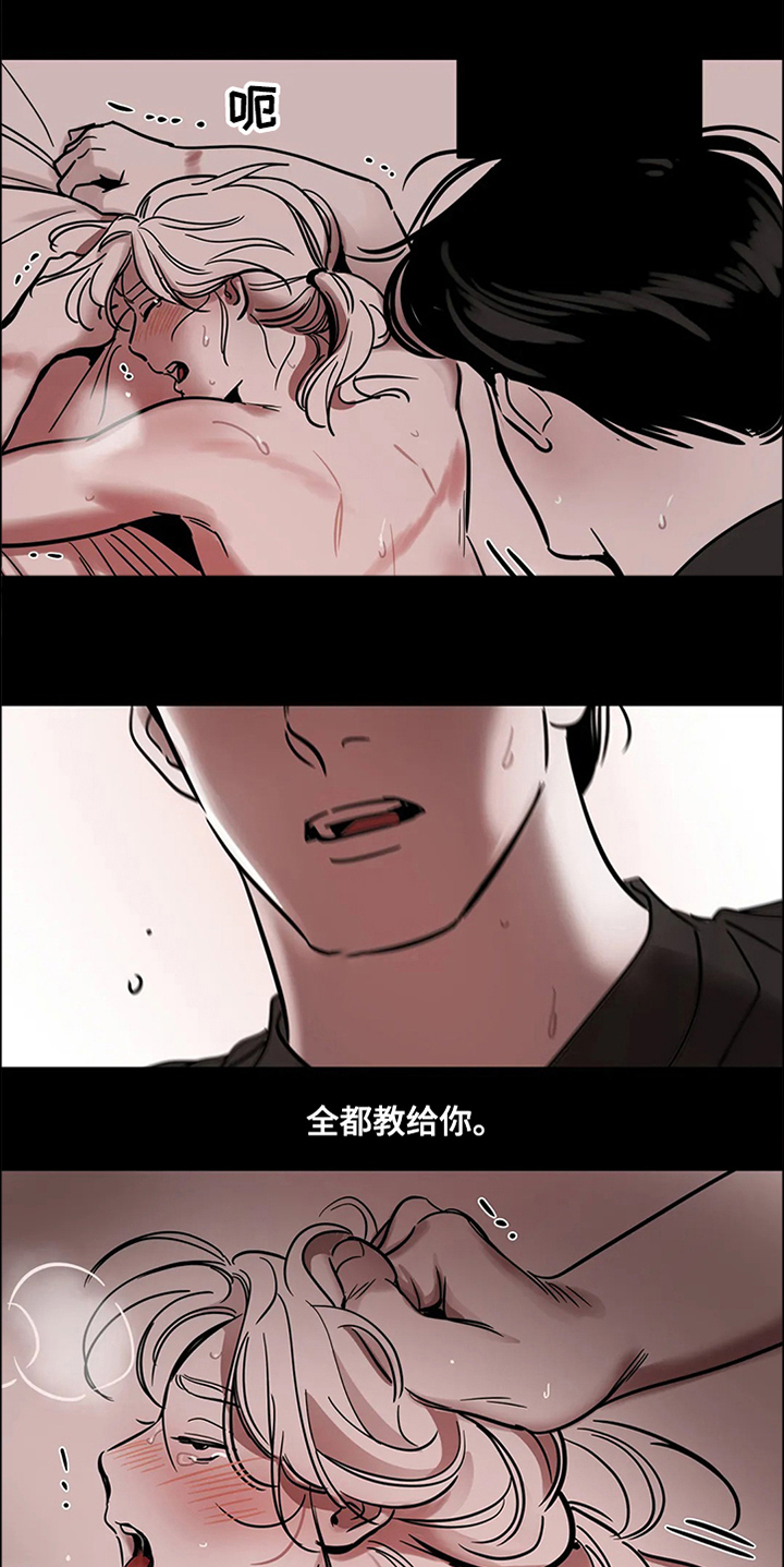 第65章：【第二季】撞死的鸟12