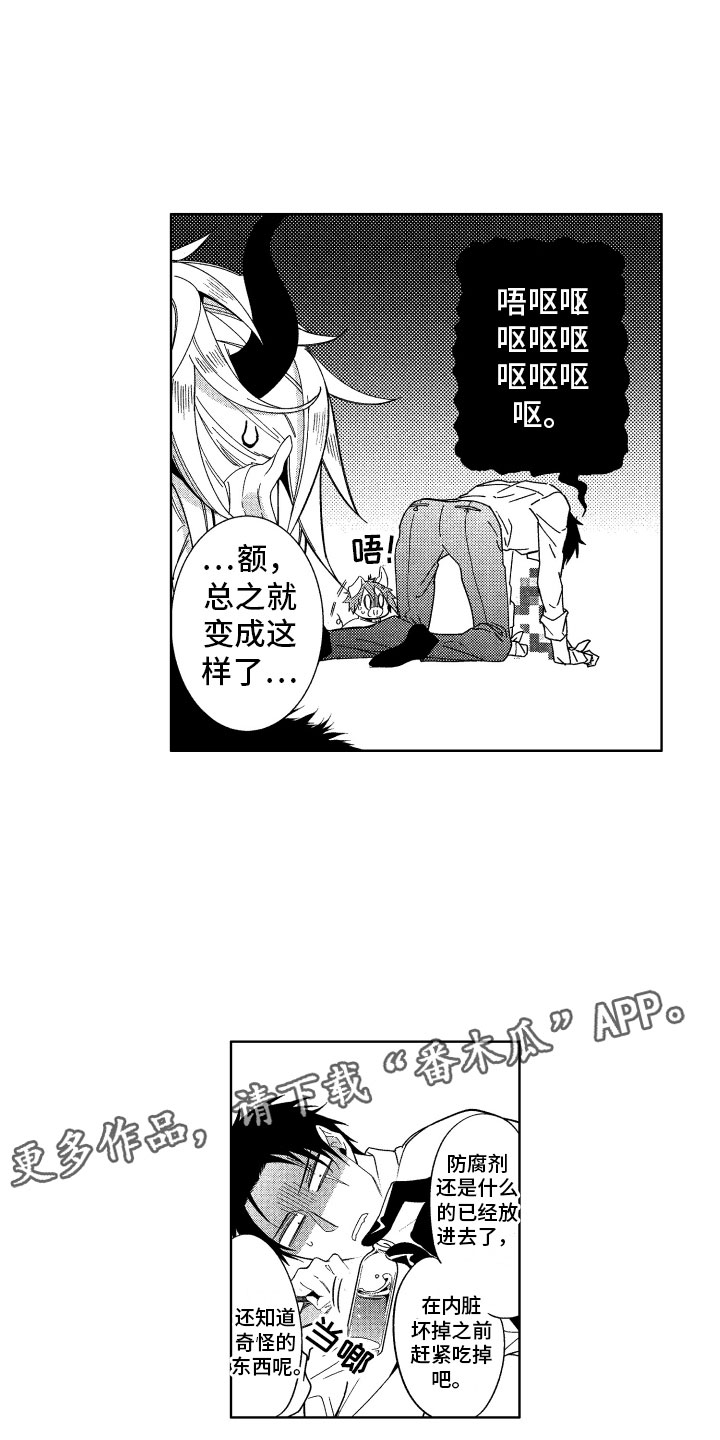 第21章：喜欢的人16