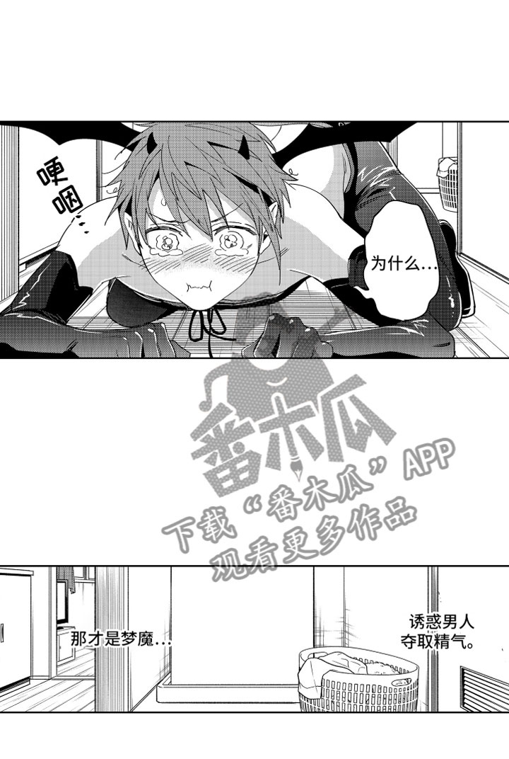 第5章：失败的恶魔13