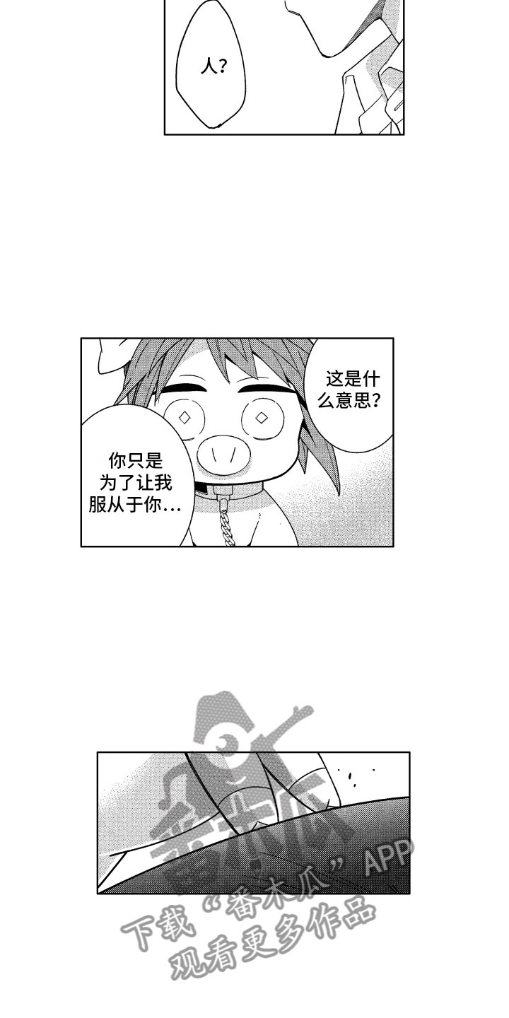 第21章：喜欢的人10