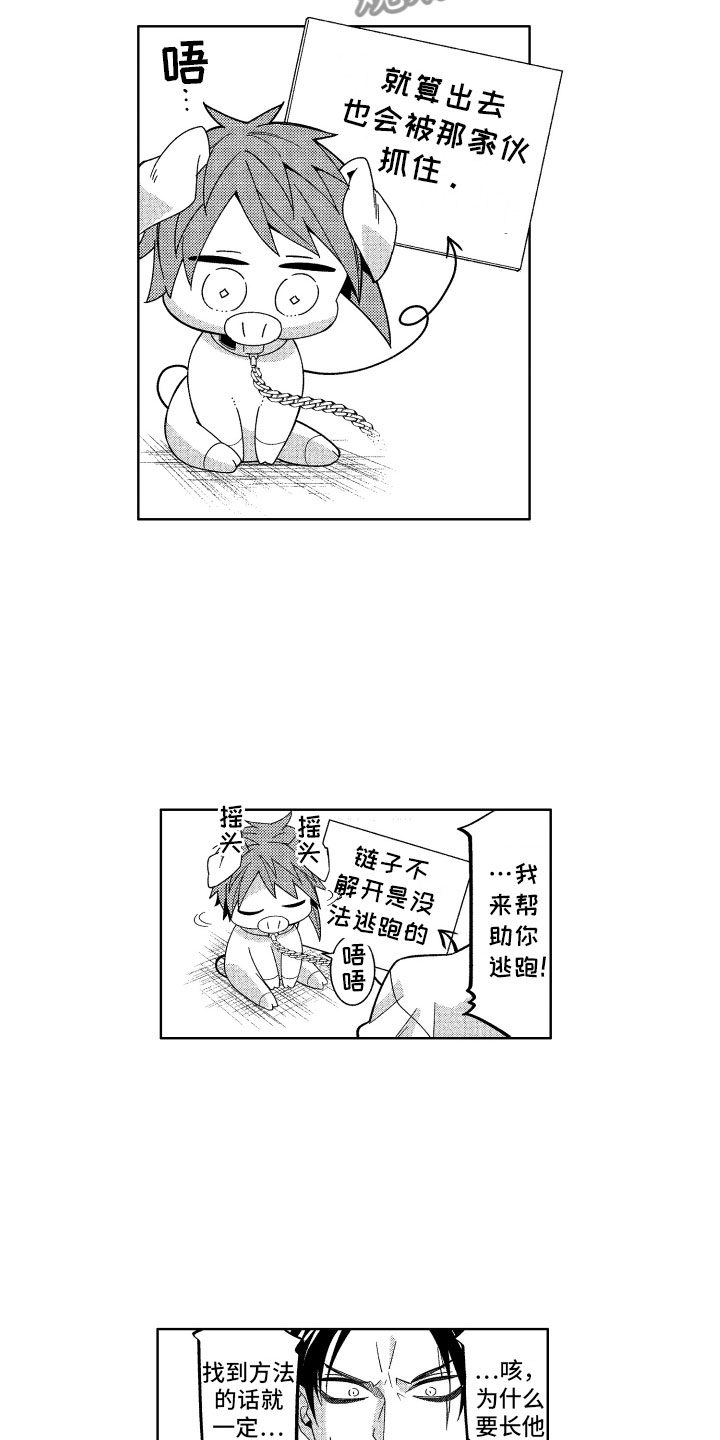 第21章：喜欢的人8