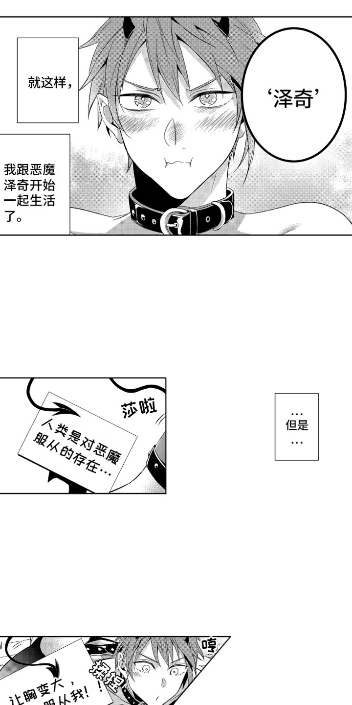 第4章：被骗的恶魔11