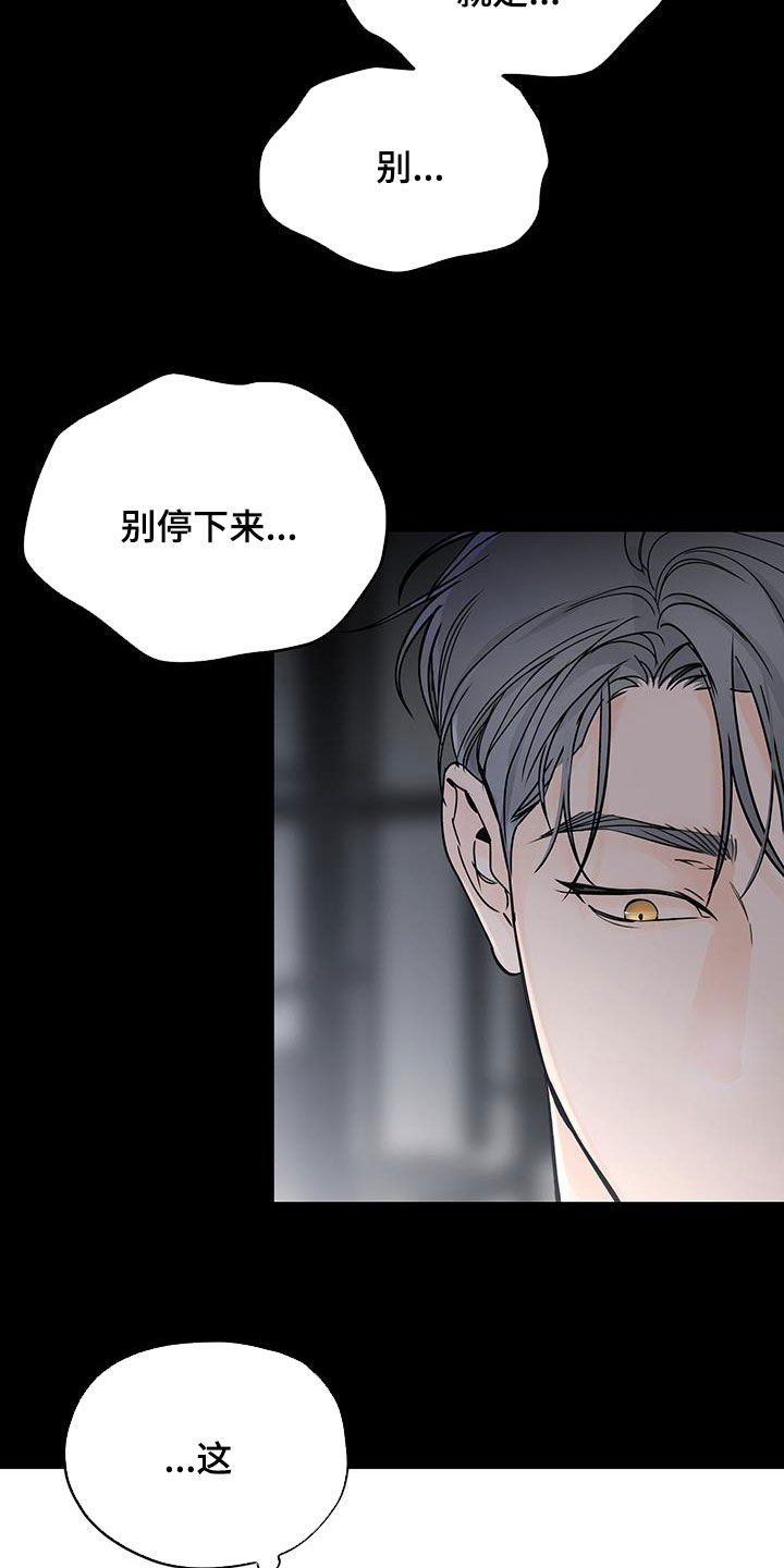 第41章：不好的预感5