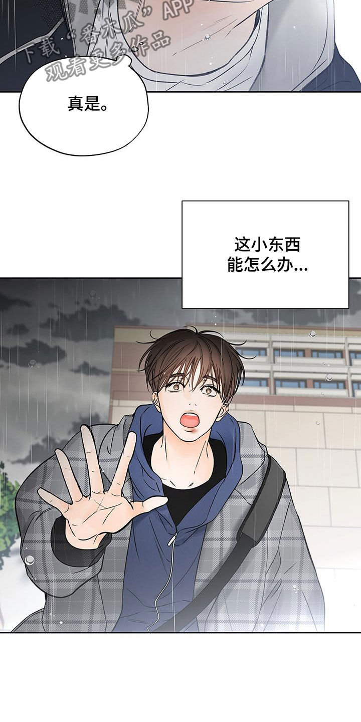 第35章：把他除掉3