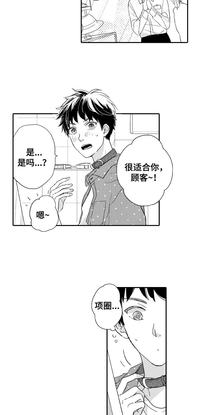 第12章：报答11