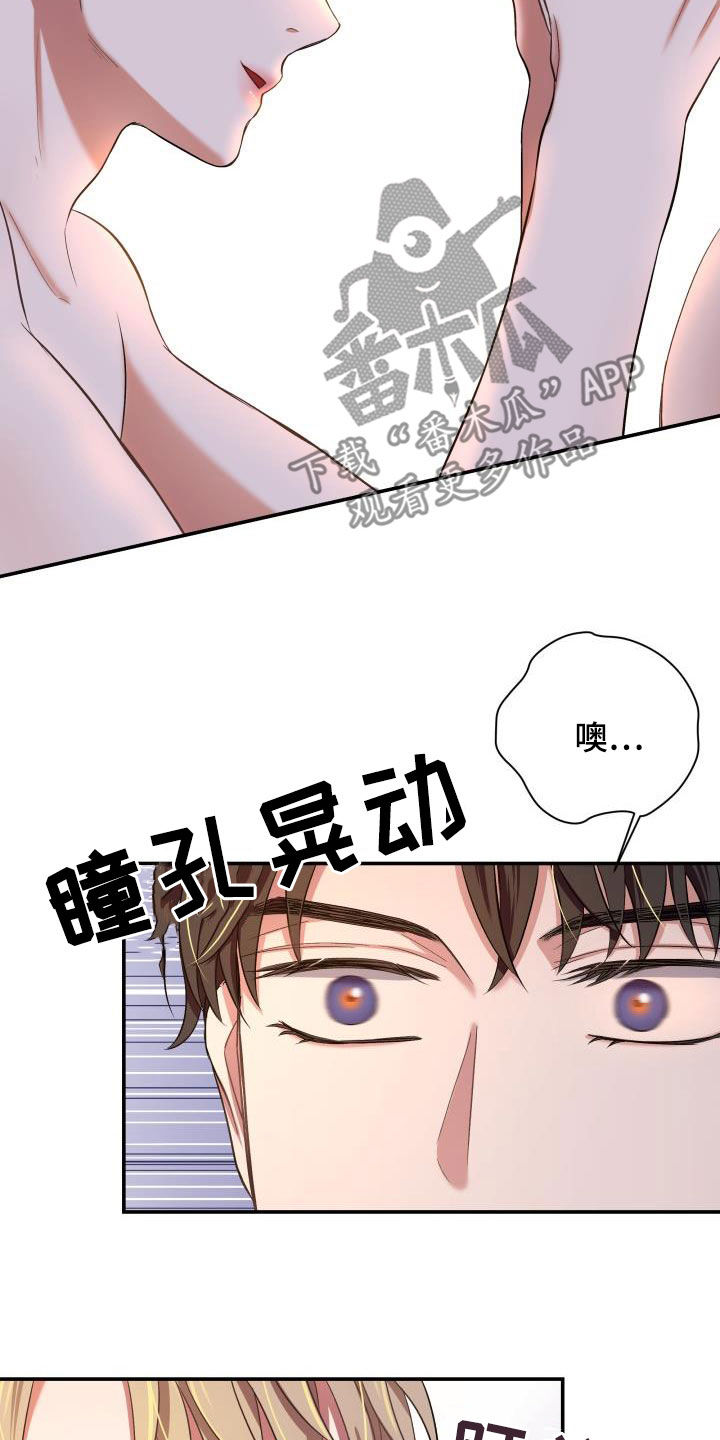 第17章：一见钟情7